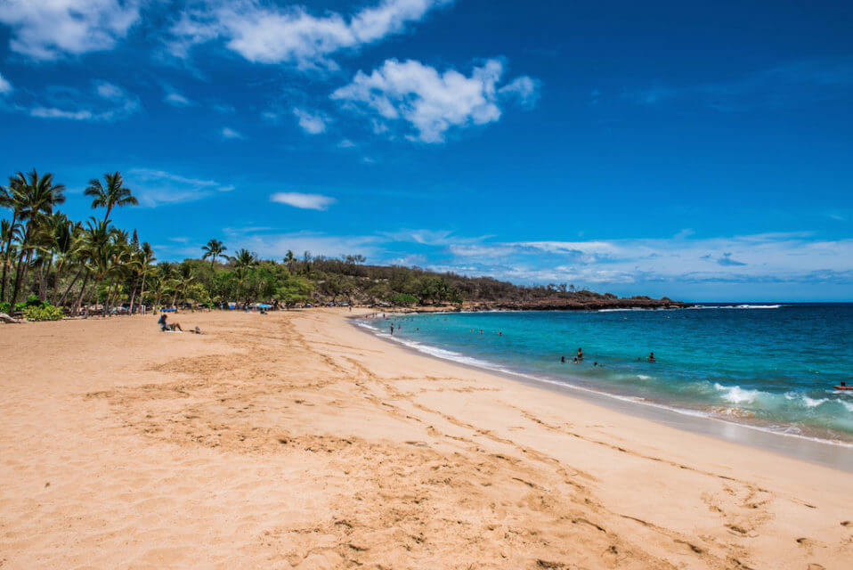 Lanai. Pineapple Island. Exclusive Resorts. And A Billionaire.